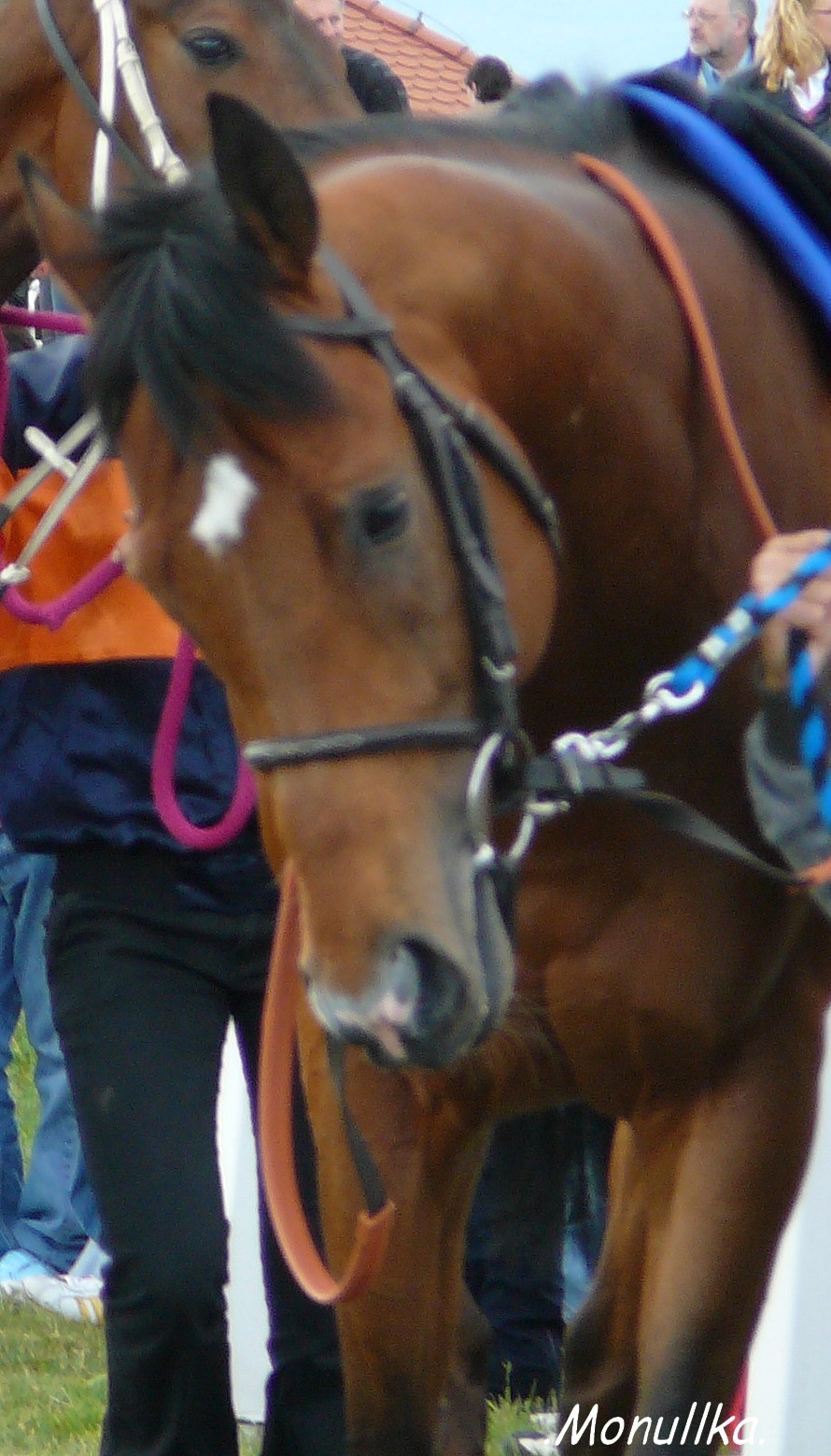 Mcnamara1-up.JPG