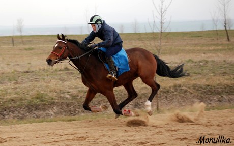 vidlouš-up.jpg