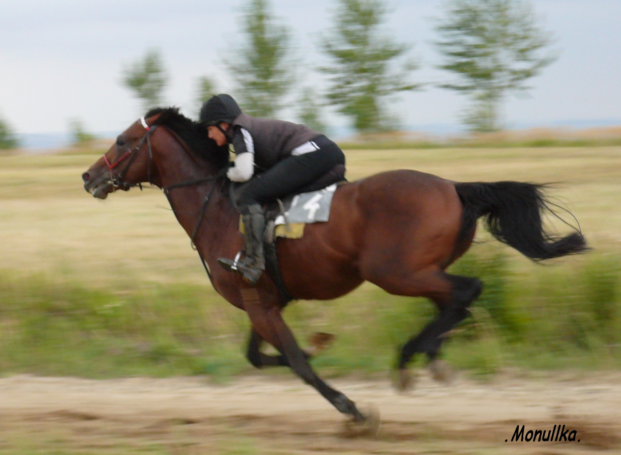 P1100490-uprava.JPG